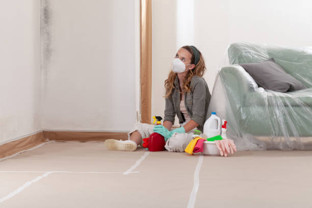Reliable Mold Cleanup contractor in Freeland, WA by WQB Mold Removal